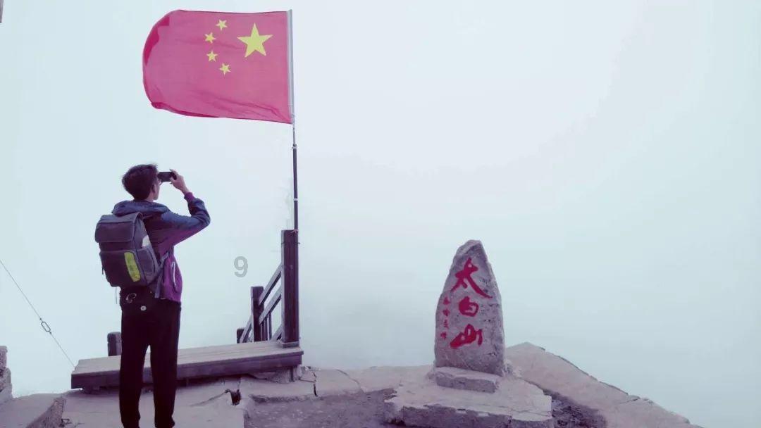 爱吃叶子的毛毛虫