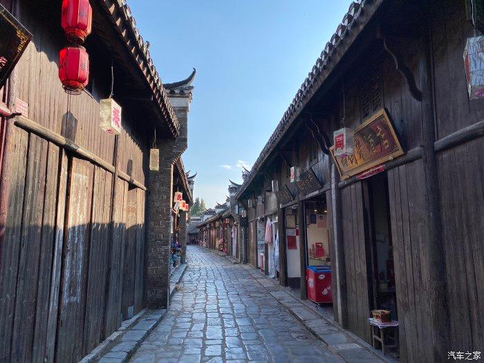 拯救蓝色小鸟